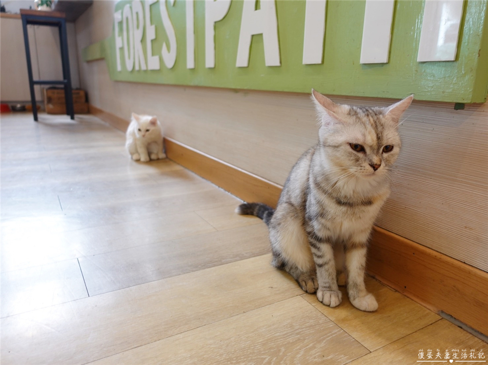 【台中北屯。美食】『森林小徑-文心店』連寵物餐都超豐盛！美味與友善並濟的親子、寵物友善餐廳！ @傻蛋夫妻生活札記