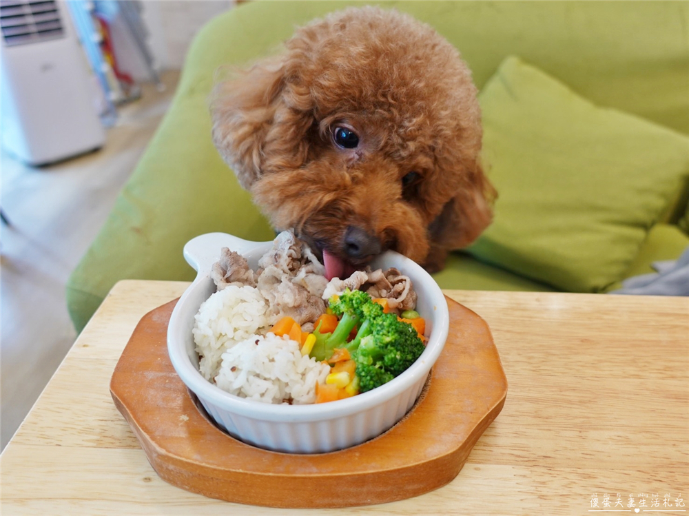 【台中北屯。美食】『森林小徑-文心店』連寵物餐都超豐盛!美味與友善並濟的親子、寵物友善餐廳! @傻蛋夫妻生活札記 【台中北屯。美食】『森林小徑-文心店』連寵物餐都超豐盛!美味與友善並濟的親子、寵物友善餐廳! @傻蛋夫妻生活札記