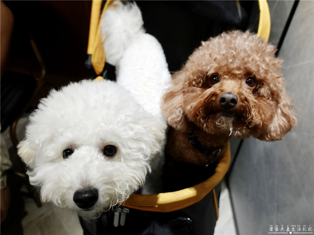 【台中港式飲茶。懶人包】台中港點哪裡吃？15家港式餐廳蒐錄報你知！ @傻蛋夫妻生活札記