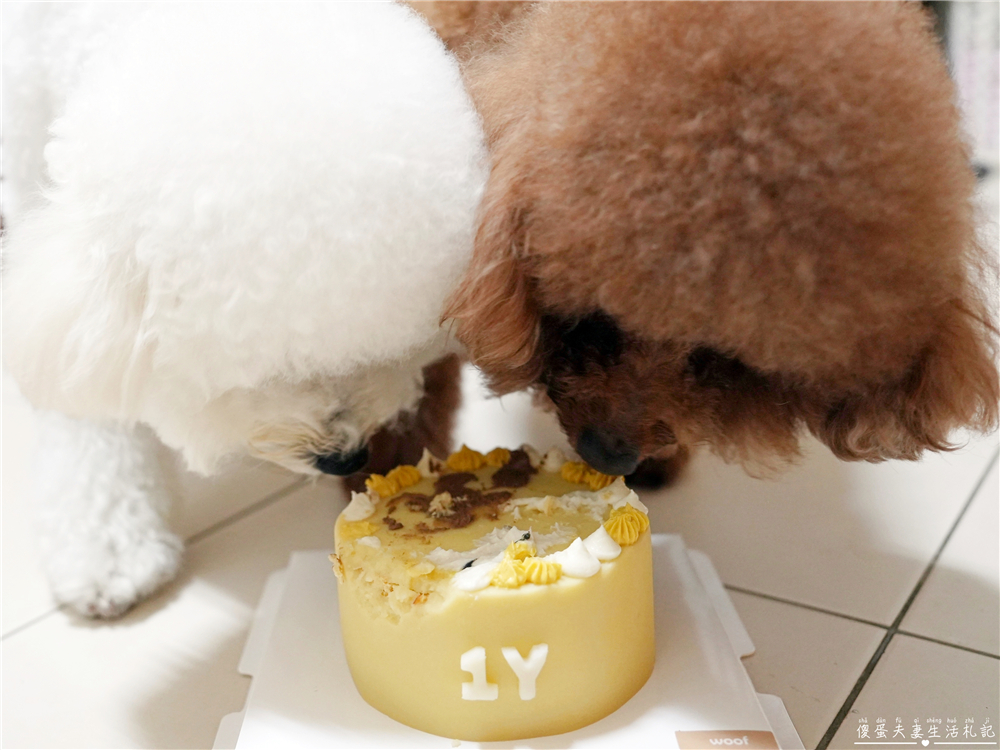 【台中西屯。寵物】『Woof My Love 吾買樂』超可愛客製化寵物蛋糕！和毛寶貝一起快樂過生日吧！ @傻蛋夫妻生活札記