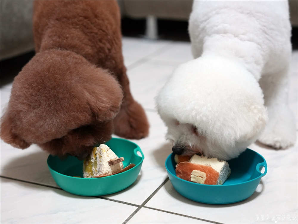 【台中北屯。寵物】『吉日好食』超可愛日式寵物蛋糕！送給家裡的毛寶貝可愛又好吃的生日蛋糕~~ @傻蛋夫妻生活札記