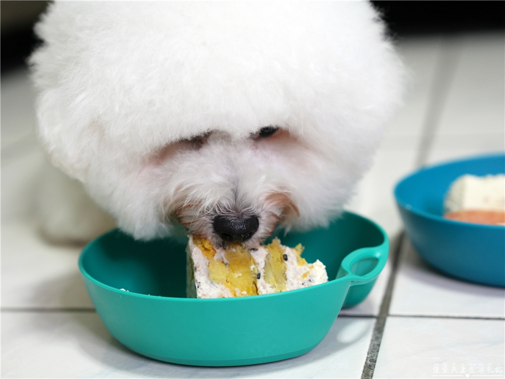 【台中北屯。寵物】『吉日好食』超可愛日式寵物蛋糕！送給家裡的毛寶貝可愛又好吃的生日蛋糕~~ @傻蛋夫妻生活札記