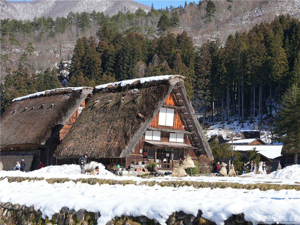 【日本岐阜。景點】『白川鄉合掌村』隱藏在群山間的童話秘境～一次搞定交通、美景、美食、住宿攻略！ @傻蛋夫妻生活札記