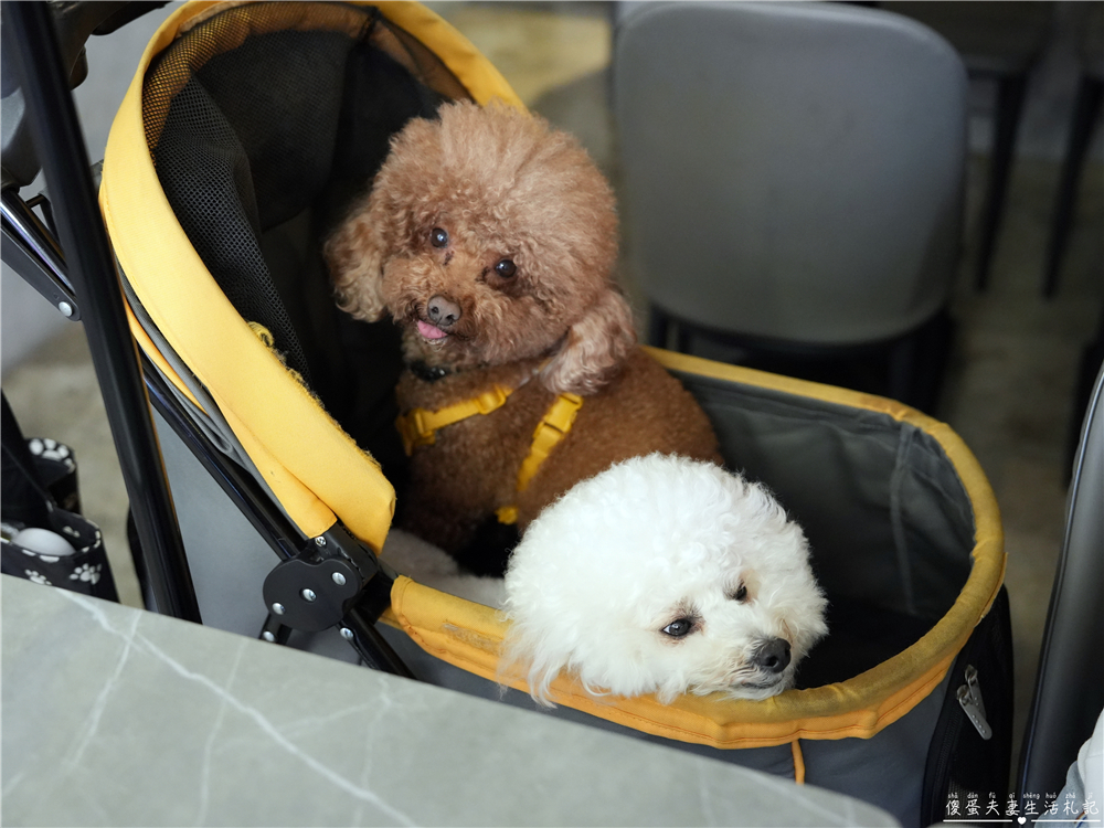 【台中西屯。美食】『烏竹樓OT Kitchen』逢甲最美台式餐廳！流心手切黑豚滷肉飯激推！ @傻蛋夫妻生活札記