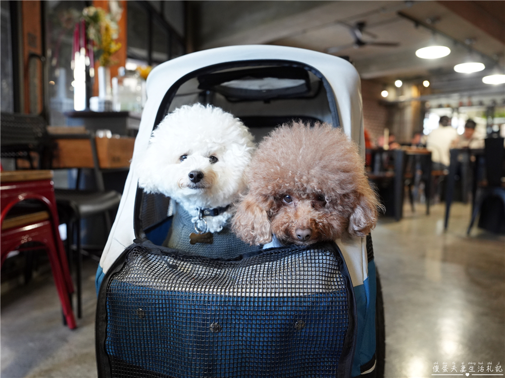 【台中西屯。美食】『春三朝午』炸裂！冬季限定超夢幻草莓透天厝登場~秘辛叻沙雙倍牛排、泰式轟炸雞腿義大利麵好吃新滋味！逢甲早午餐推薦~~ @傻蛋夫妻生活札記