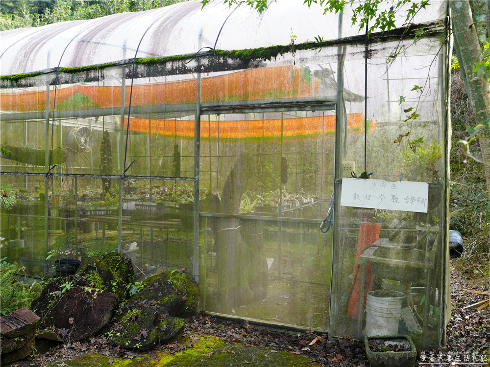 【苗栗大湖。露營】『夢之谷露營區』小朋友天堂！遊樂設施滿滿~馬拉邦山山脈上的世外桃源~ @傻蛋夫妻生活札記