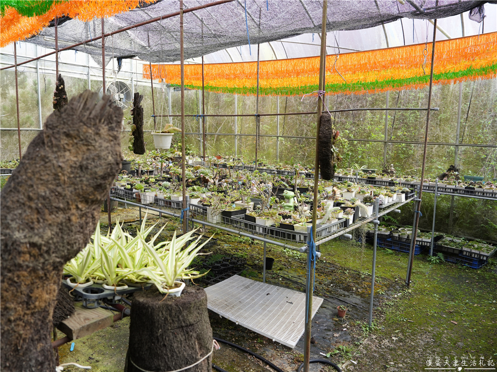 【苗栗大湖。露營】『夢之谷露營區』小朋友天堂!遊樂設施滿滿~馬拉邦山山脈上的世外桃源~ @傻蛋夫妻生活札記 【苗栗大湖。露營】『夢之谷露營區』小朋友天堂!遊樂設施滿滿~馬拉邦山山脈上的世外桃源~ @傻蛋夫妻生活札記