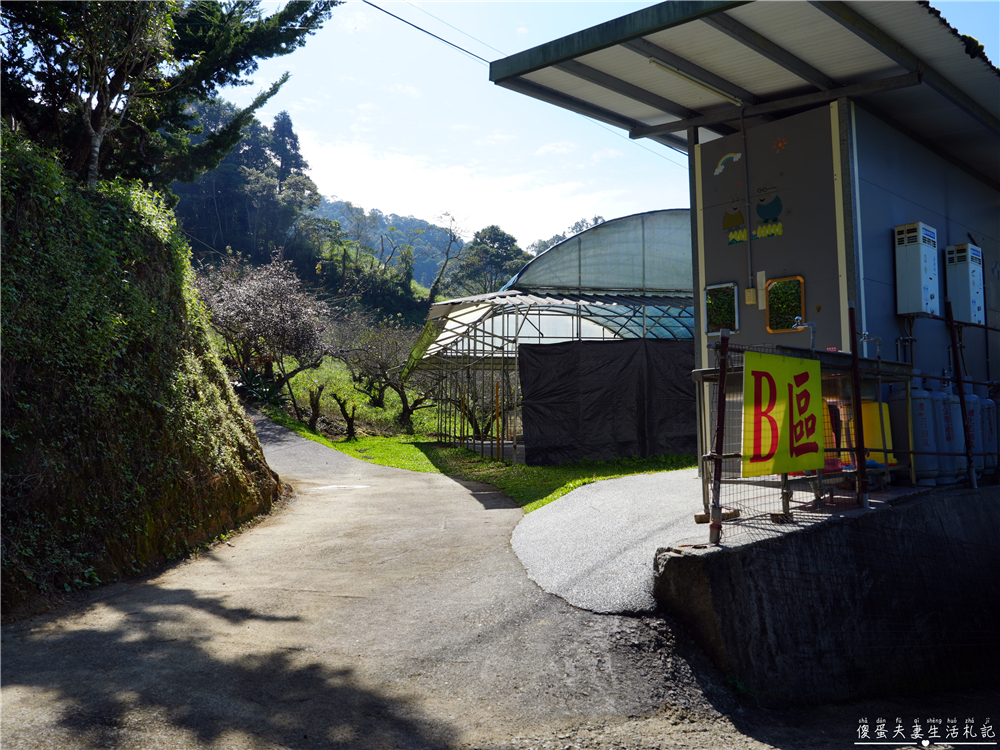 【苗栗大湖。露營】『夢之谷露營區』小朋友天堂！遊樂設施滿滿~馬拉邦山山脈上的世外桃源~ @傻蛋夫妻生活札記
