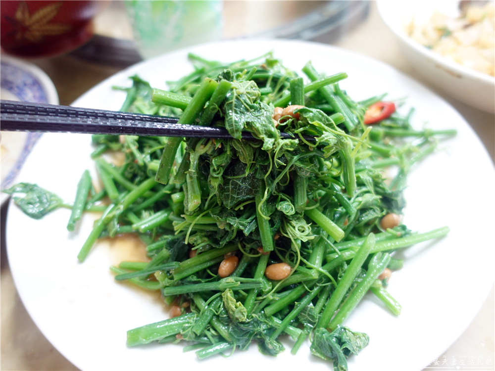【苗栗三義美食】『穎川美食館』古色古香！三合院老宅內的客家料理！ @傻蛋夫妻生活札記