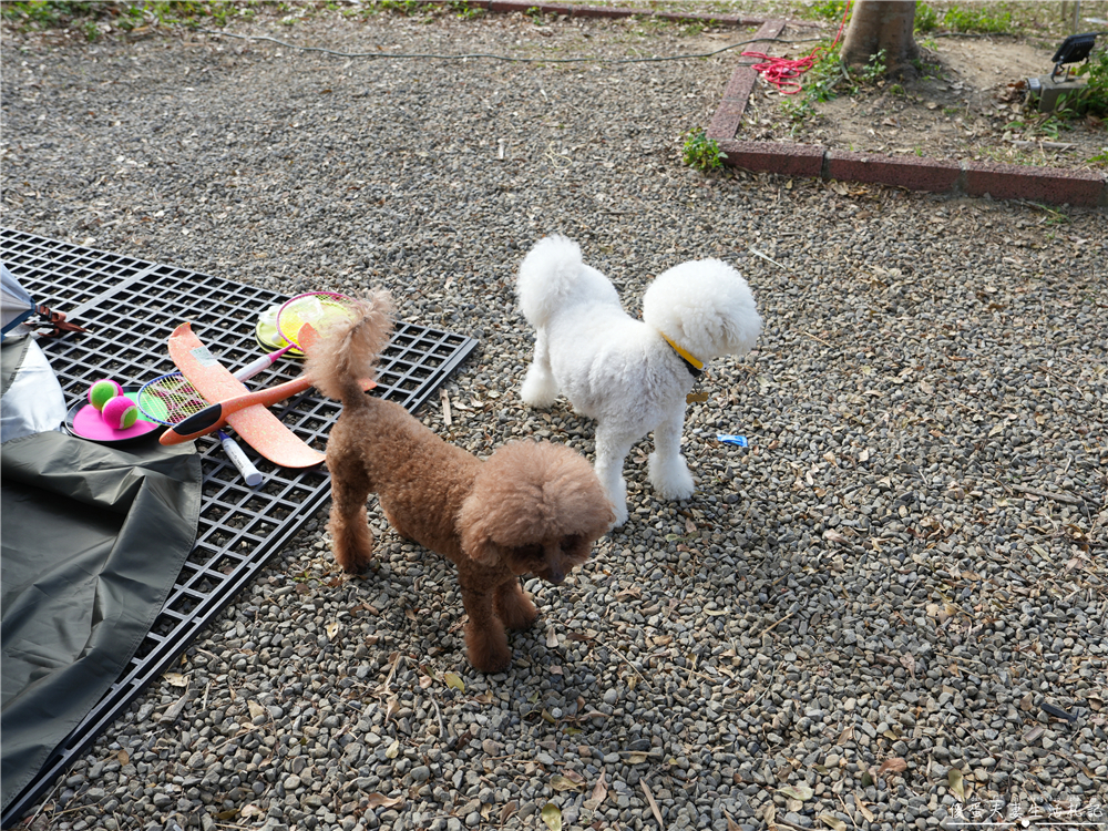 【苗栗頭屋。露營】『微時光露營園區』舒服遼闊!有大草皮與優美夜景的簡單露營區! @傻蛋夫妻生活札記 【苗栗頭屋。露營】『微時光露營園區』舒服遼闊!有大草皮與優美夜景的簡單露營區! @傻蛋夫妻生活札記