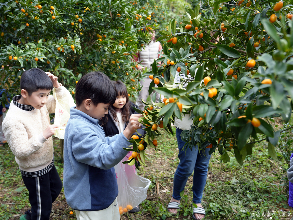【苗栗頭屋。露營】『微時光露營園區』舒服遼闊！有大草皮與優美夜景的簡單露營區！ @傻蛋夫妻生活札記
