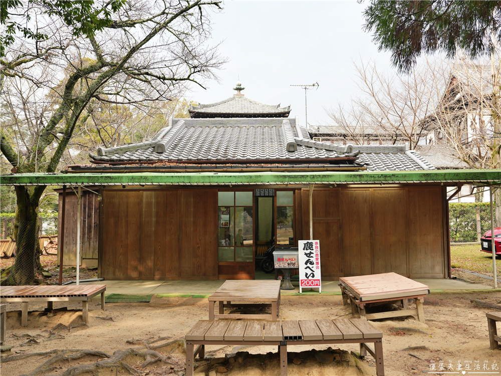 【日本奈良。彙集】『奈良一日遊』奈良公園餵鹿、探訪世界遺產東大寺與餅飯殿町的美食探索行程！ @傻蛋夫妻生活札記