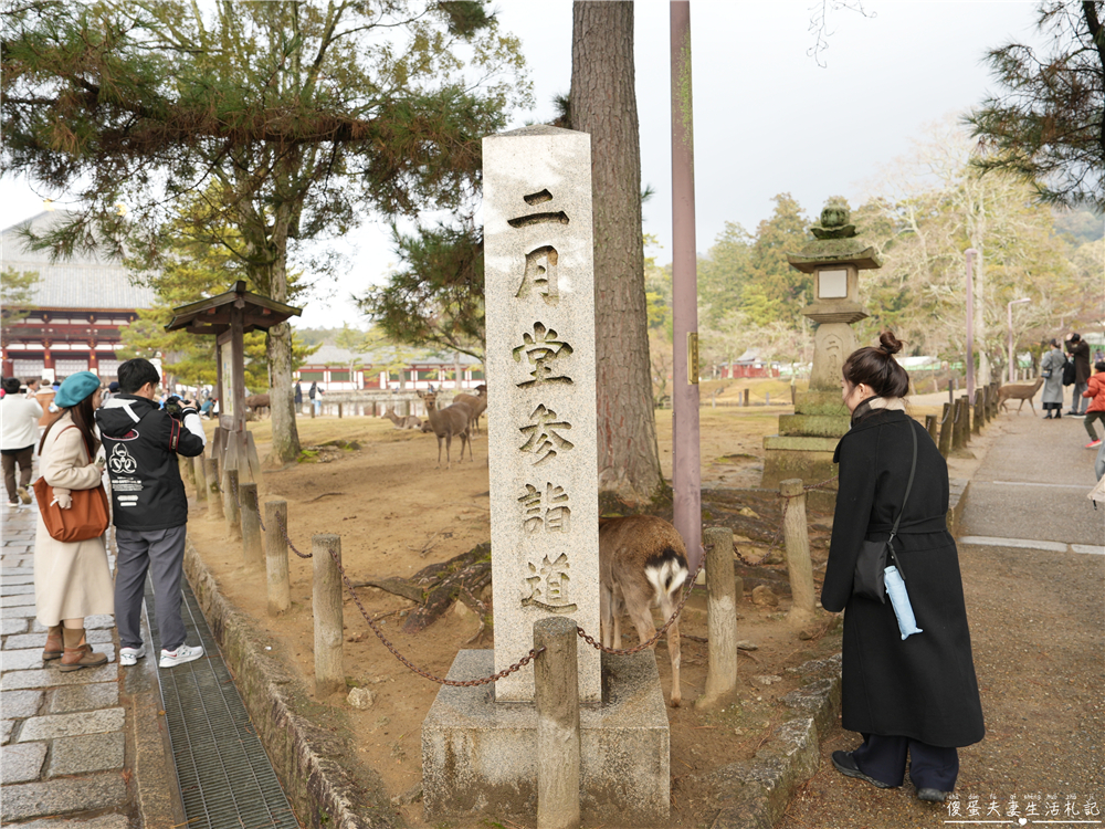 【日本奈良。彙集】『奈良一日遊』奈良公園餵鹿、探訪世界遺產東大寺與餅飯殿町的美食探索行程！ @傻蛋夫妻生活札記