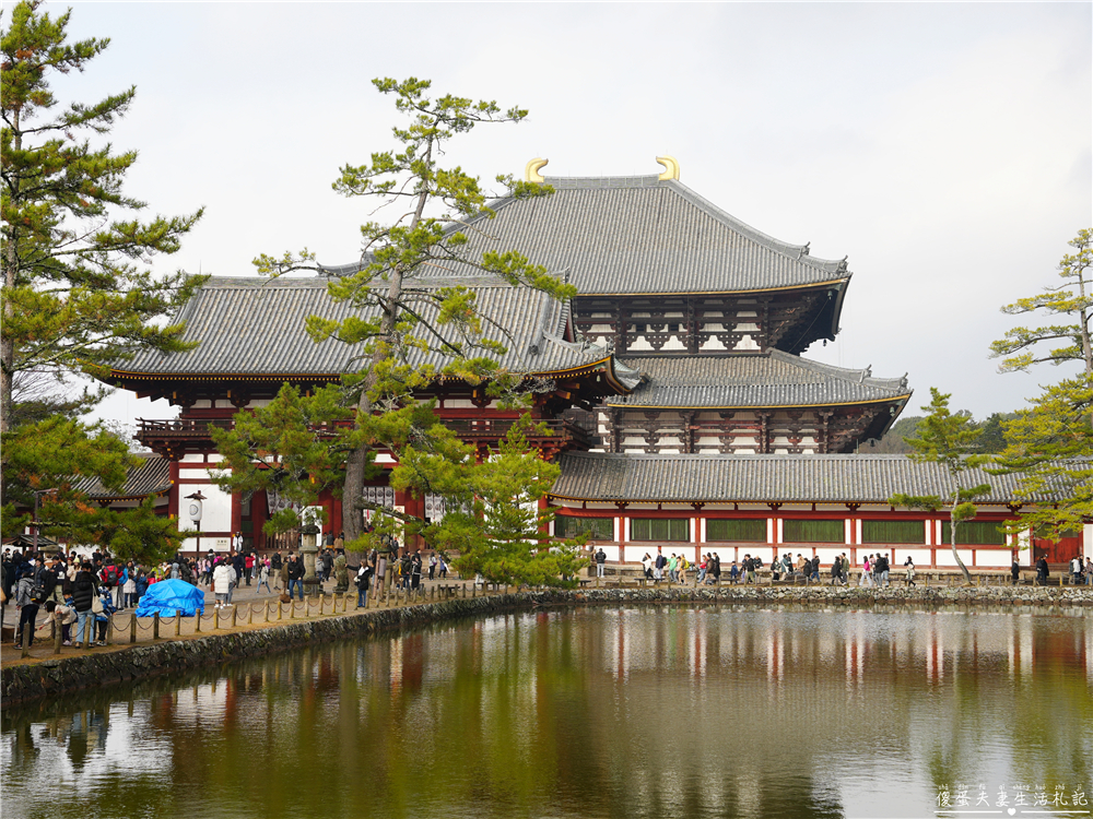 【日本奈良。彙集】『奈良一日遊』奈良公園餵鹿、探訪世界遺產東大寺與餅飯殿町的美食探索行程！ @傻蛋夫妻生活札記
