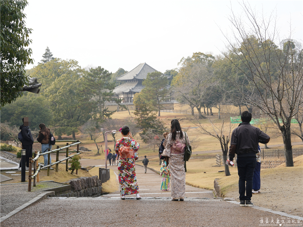 【日本奈良。彙集】『奈良一日遊』奈良公園餵鹿、探訪世界遺產東大寺與餅飯殿町的美食探索行程！ @傻蛋夫妻生活札記