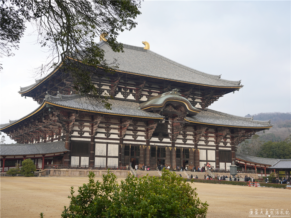 【日本奈良。彙集】『奈良一日遊』奈良公園餵鹿、探訪世界遺產東大寺與餅飯殿町的美食探索行程！ @傻蛋夫妻生活札記
