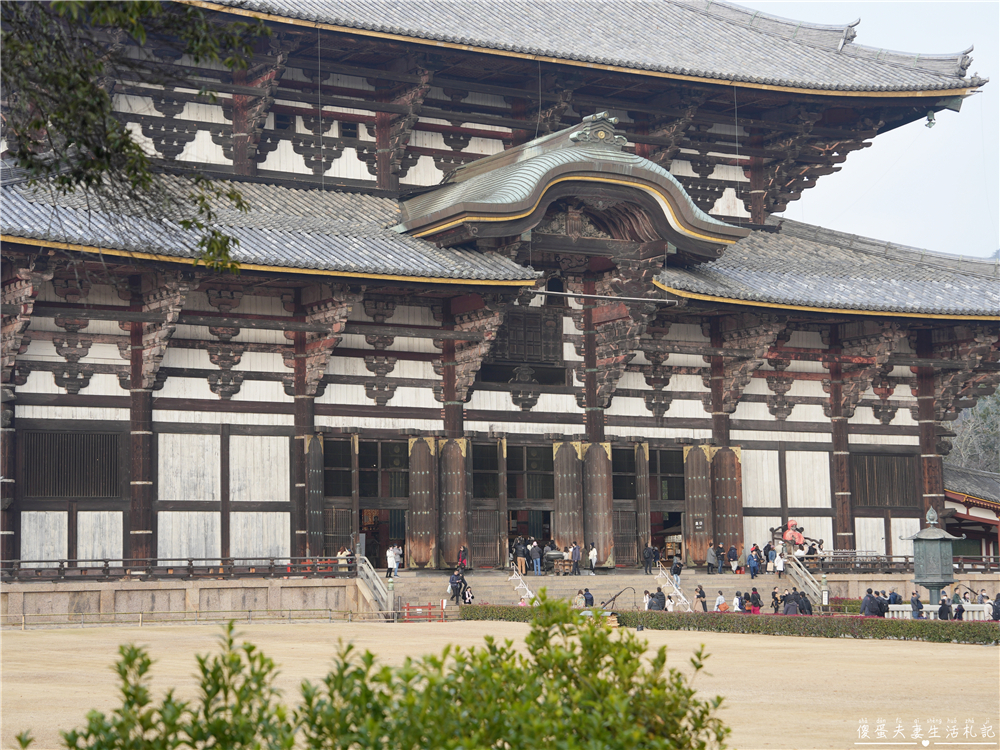 【日本奈良。彙集】『奈良一日遊』奈良公園餵鹿、探訪世界遺產東大寺與餅飯殿町的美食探索行程！ @傻蛋夫妻生活札記