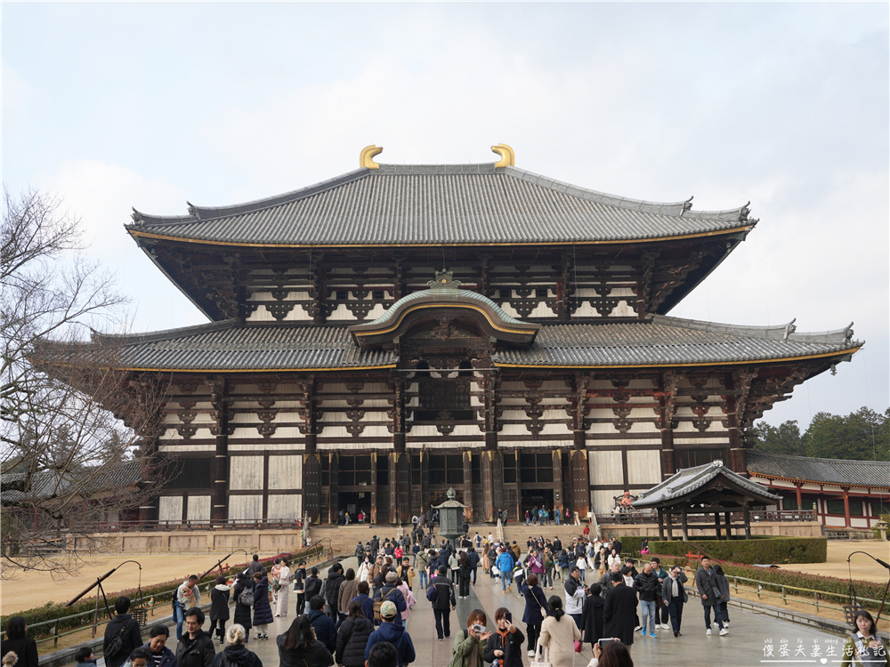 【日本奈良。彙集】『奈良一日遊』奈良公園餵鹿、探訪世界遺產東大寺與餅飯殿町的美食探索行程！ @傻蛋夫妻生活札記