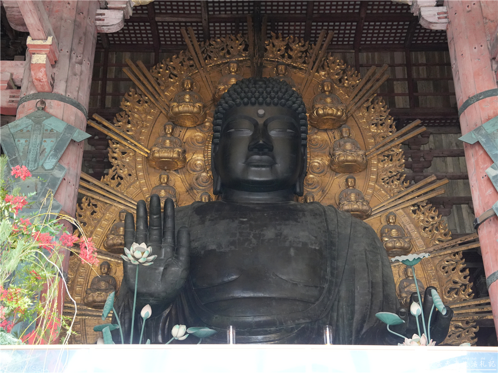 【日本奈良。彙集】『奈良一日遊』奈良公園餵鹿、探訪世界遺產東大寺與餅飯殿町的美食探索行程！ @傻蛋夫妻生活札記