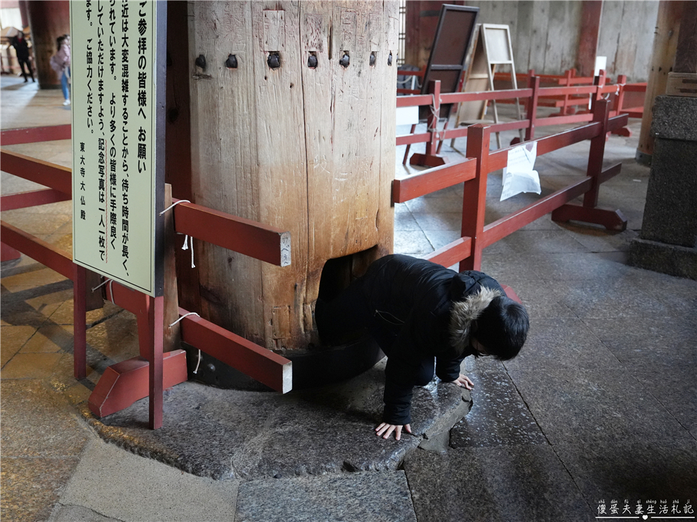 【日本奈良。彙集】『奈良一日遊』奈良公園餵鹿、探訪世界遺產東大寺與餅飯殿町的美食探索行程！ @傻蛋夫妻生活札記