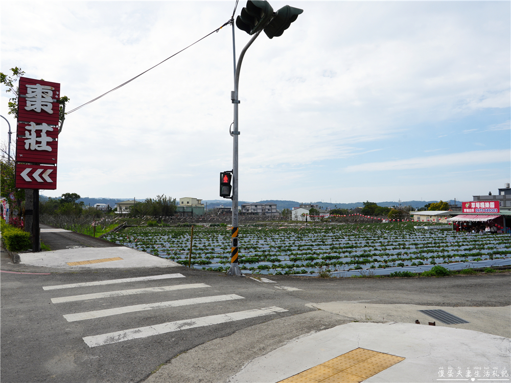 【苗栗公館。景點】『草莓嘎樂園』乾淨的高架草莓園~還有最夯白草莓可現場採摘！ @傻蛋夫妻生活札記