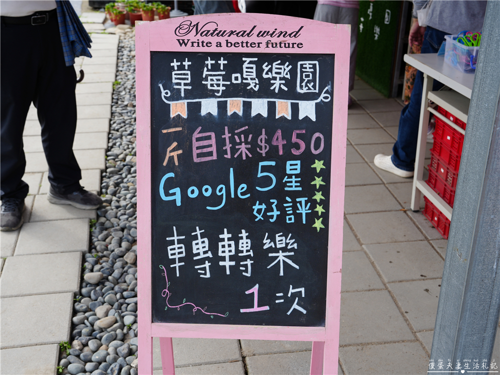 【苗栗公館。景點】『草莓嘎樂園』乾淨的高架草莓園~還有最夯白草莓可現場採摘！ @傻蛋夫妻生活札記