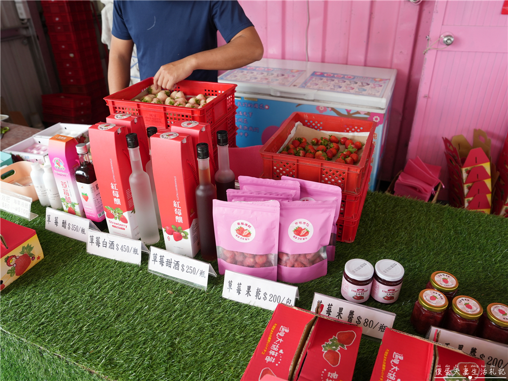 【苗栗公館。景點】『草莓嘎樂園』乾淨的高架草莓園~還有最夯白草莓可現場採摘！ @傻蛋夫妻生活札記