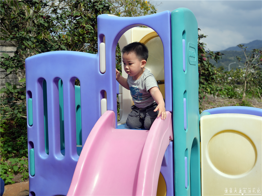 【苗栗公館。景點】『草莓嘎樂園』乾淨的高架草莓園~還有最夯白草莓可現場採摘！ @傻蛋夫妻生活札記