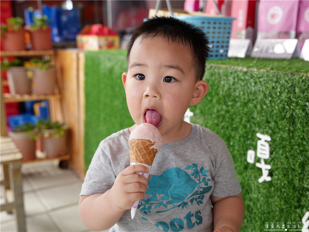 【苗栗公館。景點】『草莓嘎樂園』乾淨的高架草莓園~還有最夯白草莓可現場採摘！ @傻蛋夫妻生活札記