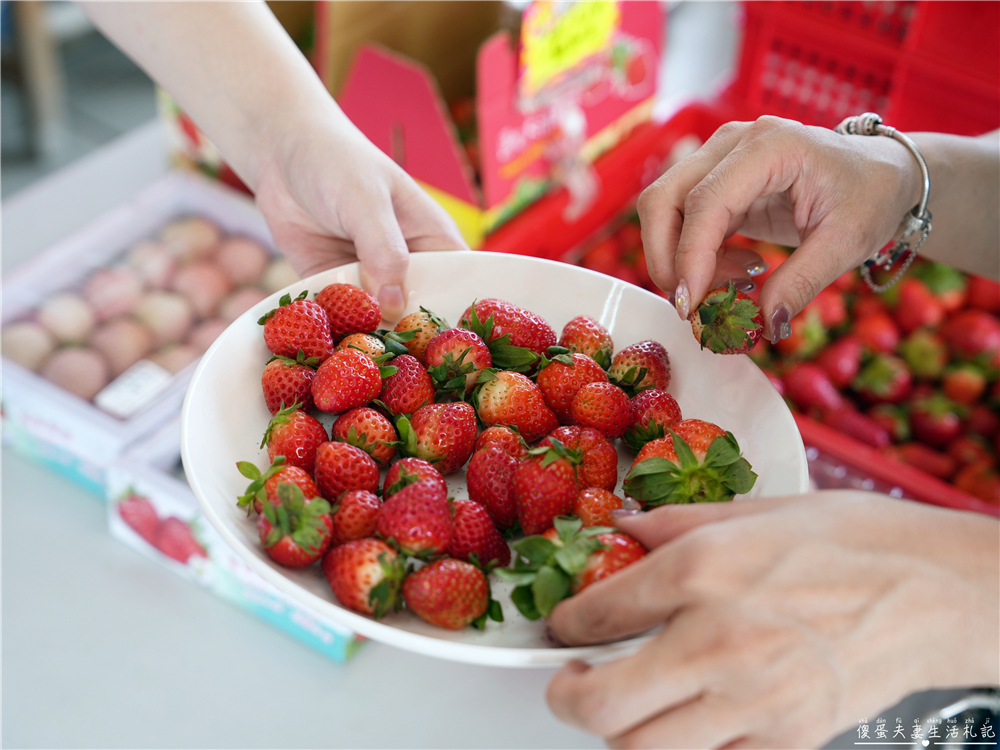 【苗栗公館。景點】『草莓嘎樂園』乾淨的高架草莓園~還有最夯白草莓可現場採摘！ @傻蛋夫妻生活札記