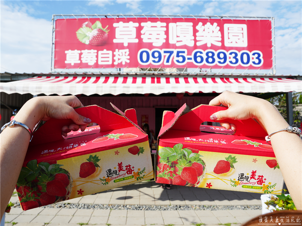 【苗栗公館。景點】『草莓嘎樂園』乾淨的高架草莓園~還有最夯白草莓可現場採摘！ @傻蛋夫妻生活札記