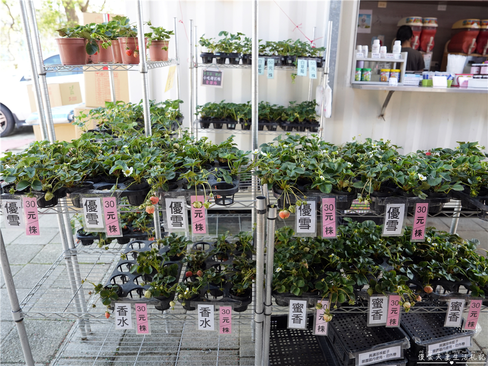 【台中潭子。景點】『草莓世界』不用跑苗栗！台中也有超大型草莓園！ @傻蛋夫妻生活札記