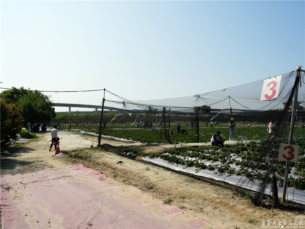 【台中潭子。景點】『草莓世界』不用跑苗栗！台中也有超大型草莓園！ @傻蛋夫妻生活札記