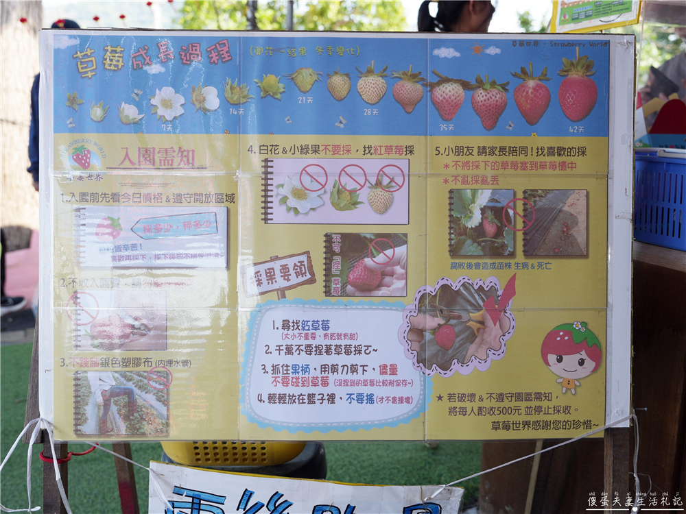 【台中潭子。景點】『草莓世界』不用跑苗栗！台中也有超大型草莓園！ @傻蛋夫妻生活札記