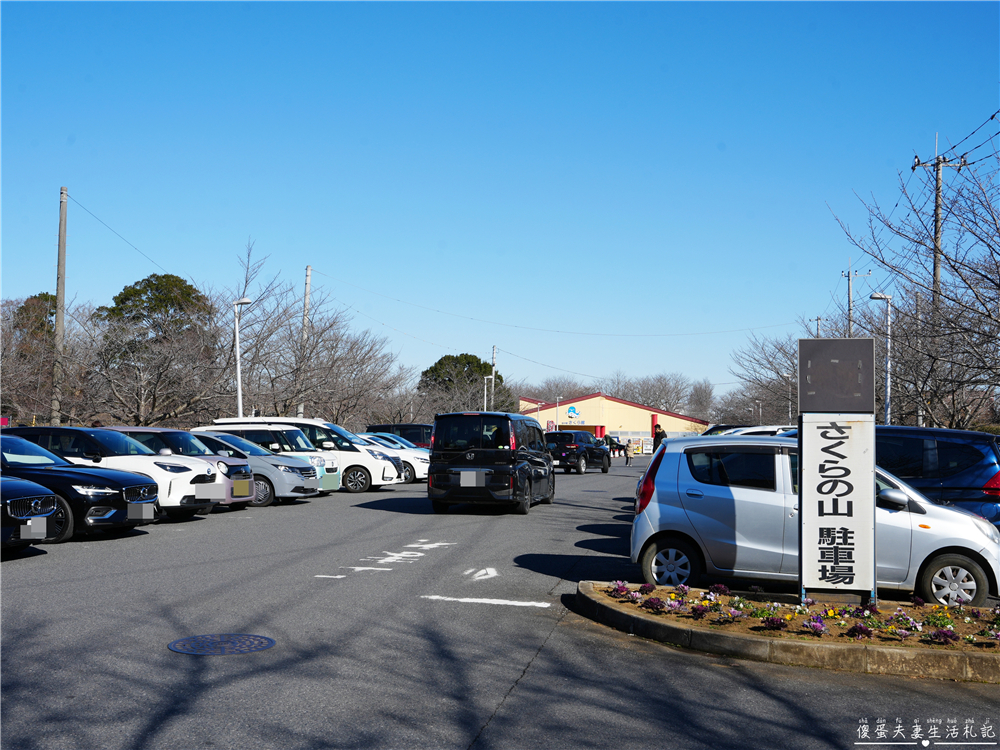 【日本千葉。景點】『成田櫻山公園』在地人帶路！近距離看飛機、賞櫻的私房景點~ @傻蛋夫妻生活札記