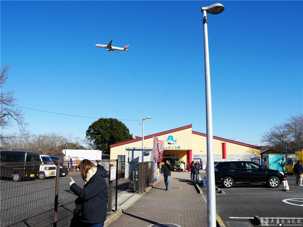 【日本千葉。景點】『成田櫻山公園』在地人帶路！近距離看飛機、賞櫻的私房景點~ @傻蛋夫妻生活札記