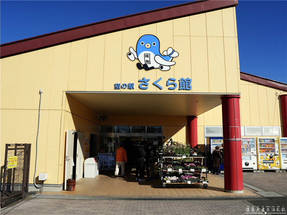 【日本千葉。景點】『成田櫻山公園』在地人帶路！近距離看飛機、賞櫻的私房景點~ @傻蛋夫妻生活札記