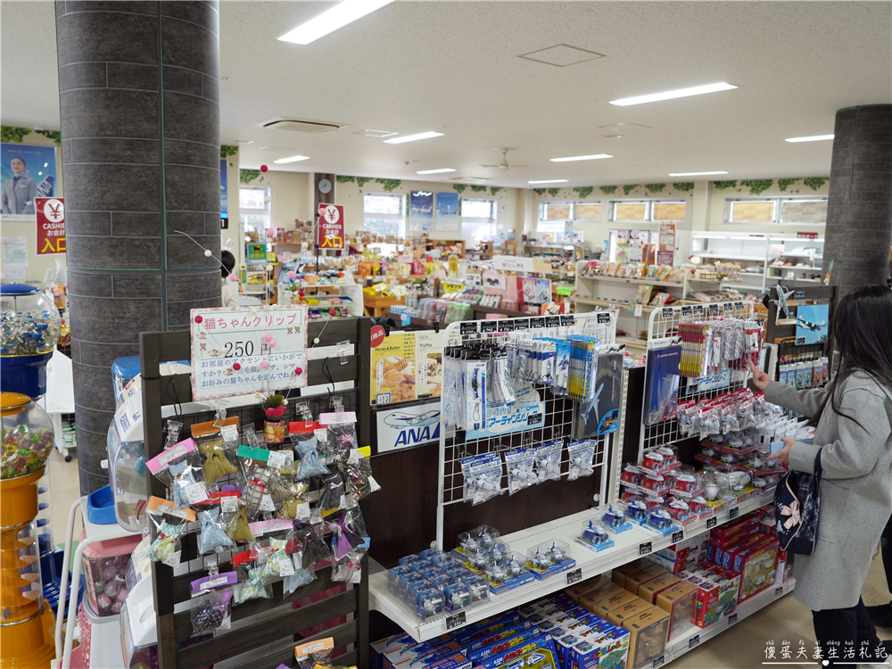 【日本千葉。景點】『成田櫻山公園』在地人帶路！近距離看飛機、賞櫻的私房景點~ @傻蛋夫妻生活札記