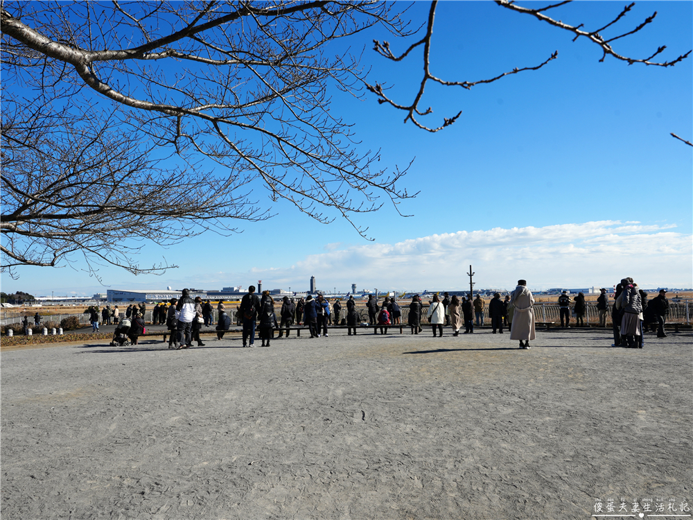 【日本千葉。景點】『成田櫻山公園』在地人帶路！近距離看飛機、賞櫻的私房景點~ @傻蛋夫妻生活札記