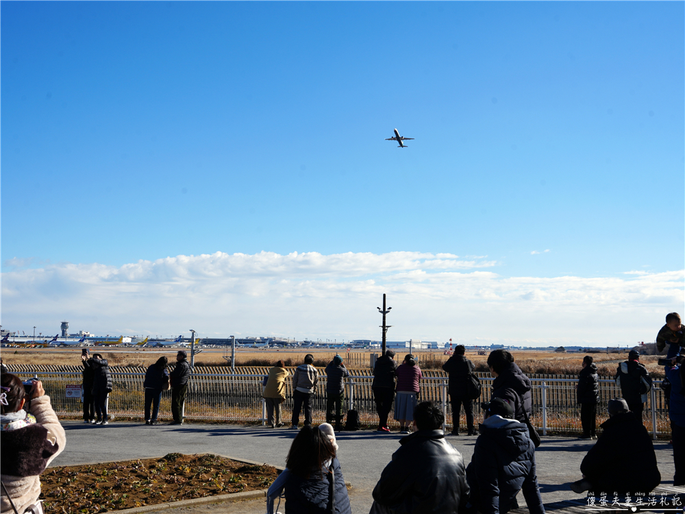 【日本千葉。景點】『成田櫻山公園』在地人帶路！近距離看飛機、賞櫻的私房景點~ @傻蛋夫妻生活札記