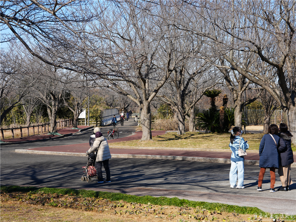 【日本千葉。景點】『成田櫻山公園』在地人帶路！近距離看飛機、賞櫻的私房景點~ @傻蛋夫妻生活札記