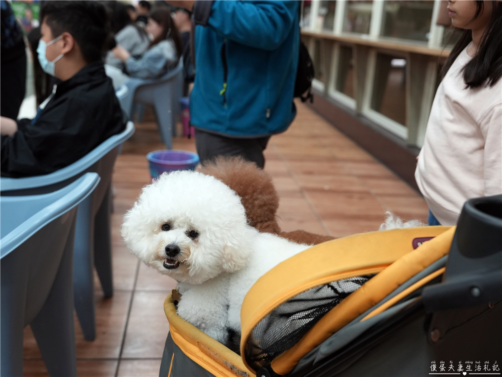 【台中北屯】『東明釣蝦場』24小時營業！全場禁菸的釣蝦場兼熱炒店！ @傻蛋夫妻生活札記