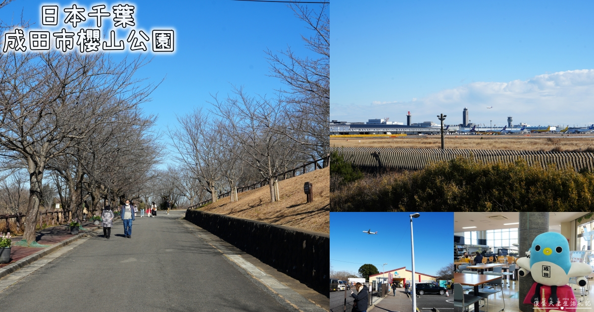 【日本千葉。景點】『成田櫻山公園』在地人帶路！近距離看飛機、賞櫻的私房景點~ @傻蛋夫妻生活札記