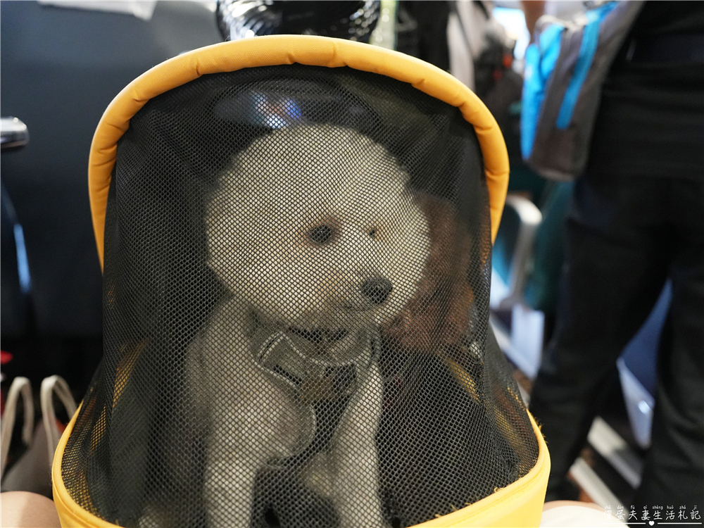 【澎湖馬公。交通】『寵遊澎湖』毛孩出航嚕！帶毛小孩搭船遊澎湖！從嘉義布袋港出發，前往馬公港之交通全記錄！ @傻蛋夫妻生活札記