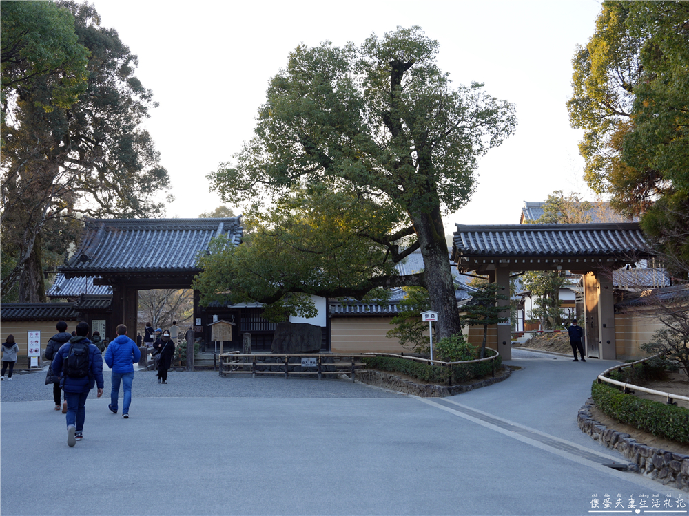 【日本京都。景點】『金閣寺』美到窒息的黃金倒影！金箔閃耀的古都象徵~ @傻蛋夫妻生活札記