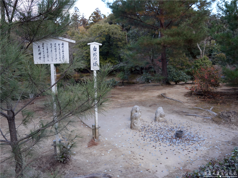 【日本京都。景點】『金閣寺』美到窒息的黃金倒影！金箔閃耀的古都象徵~ @傻蛋夫妻生活札記