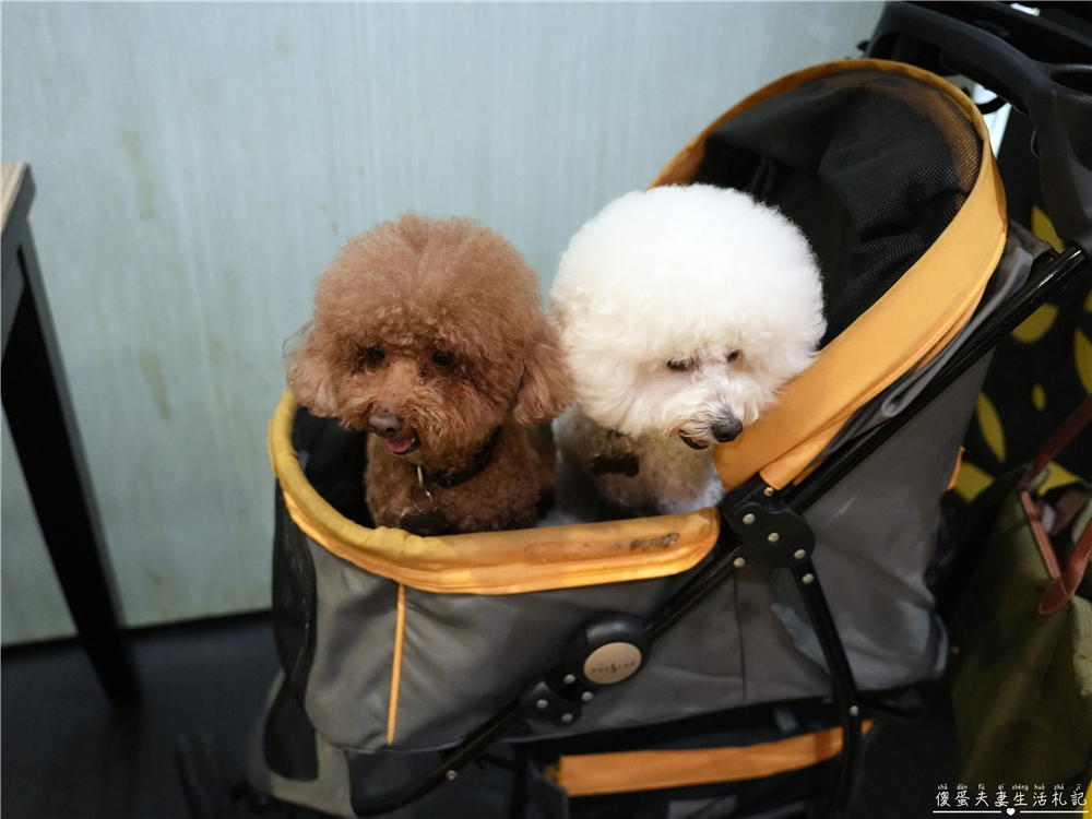 【台中南屯。美食】『潮港城太陽百匯』傳說中的中部辦桌王！台中超夯吃到飽之一！而且竟然還是寵物友善~~ @傻蛋夫妻生活札記