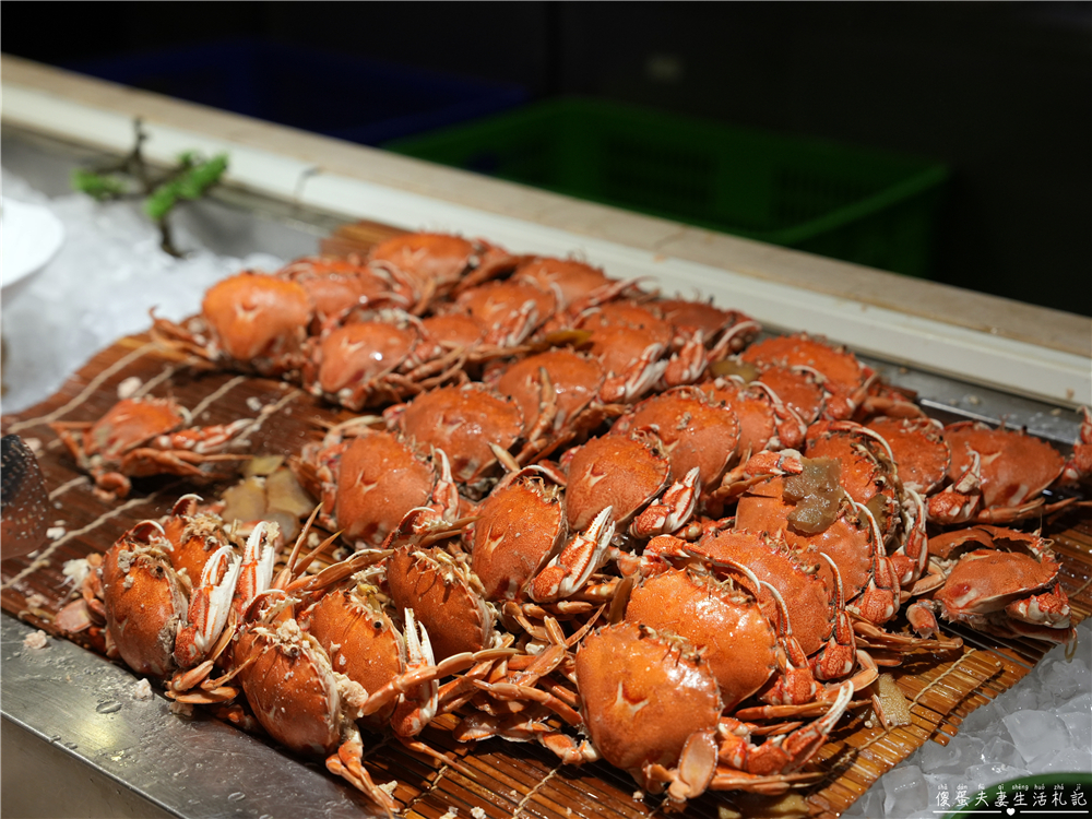 【台中南屯。美食】『潮港城太陽百匯』傳說中的中部辦桌王！台中超夯吃到飽之一！而且竟然還是寵物友善~~ @傻蛋夫妻生活札記