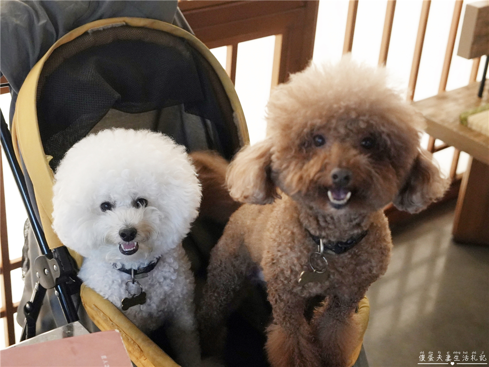 【台中北屯。美食】『月見里山 炭火燒肉』禪風系庭院燒肉！專人待烤免動手~完美燒肉輕鬆吃！台中寵物友善燒肉店~ @傻蛋夫妻生活札記