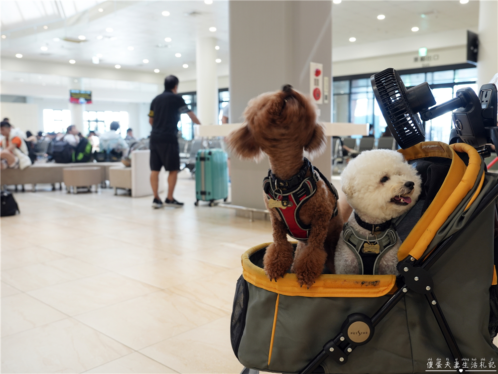 【澎湖馬公。交通】『寵遊澎湖』毛孩出航嚕！帶毛小孩搭船遊澎湖！從嘉義布袋港出發，前往馬公港之交通全記錄！ @傻蛋夫妻生活札記